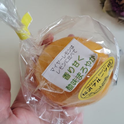 ニコニコにゃー on LIPS 「先週の3連休、浜名湖までドライブしてきたのよ🎵長坂養蜂場さんで..」(6枚目)