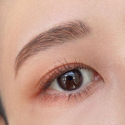 キャビアスティック アイカラー/ローラ メルシエ/スティックアイシャドウを使ったクチコミ(6枚目)