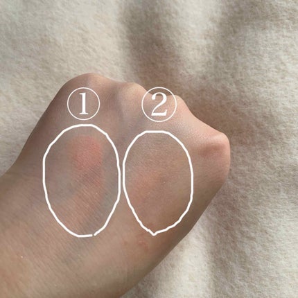 チーク カラー(ブラシ付) 442 オレンジ系/ちふれ/パウダーチークの画像