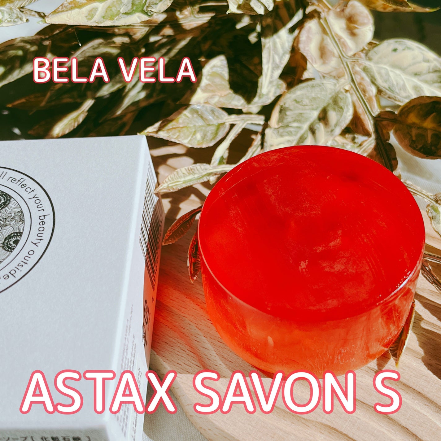 ASTAX SAVON/BELA VELA/洗顔石鹸を使ったクチコミ(1枚目)