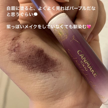 スマートミニアイブロウカラー/キャンメイク/眉マスカラを使ったクチコミ(6枚目)