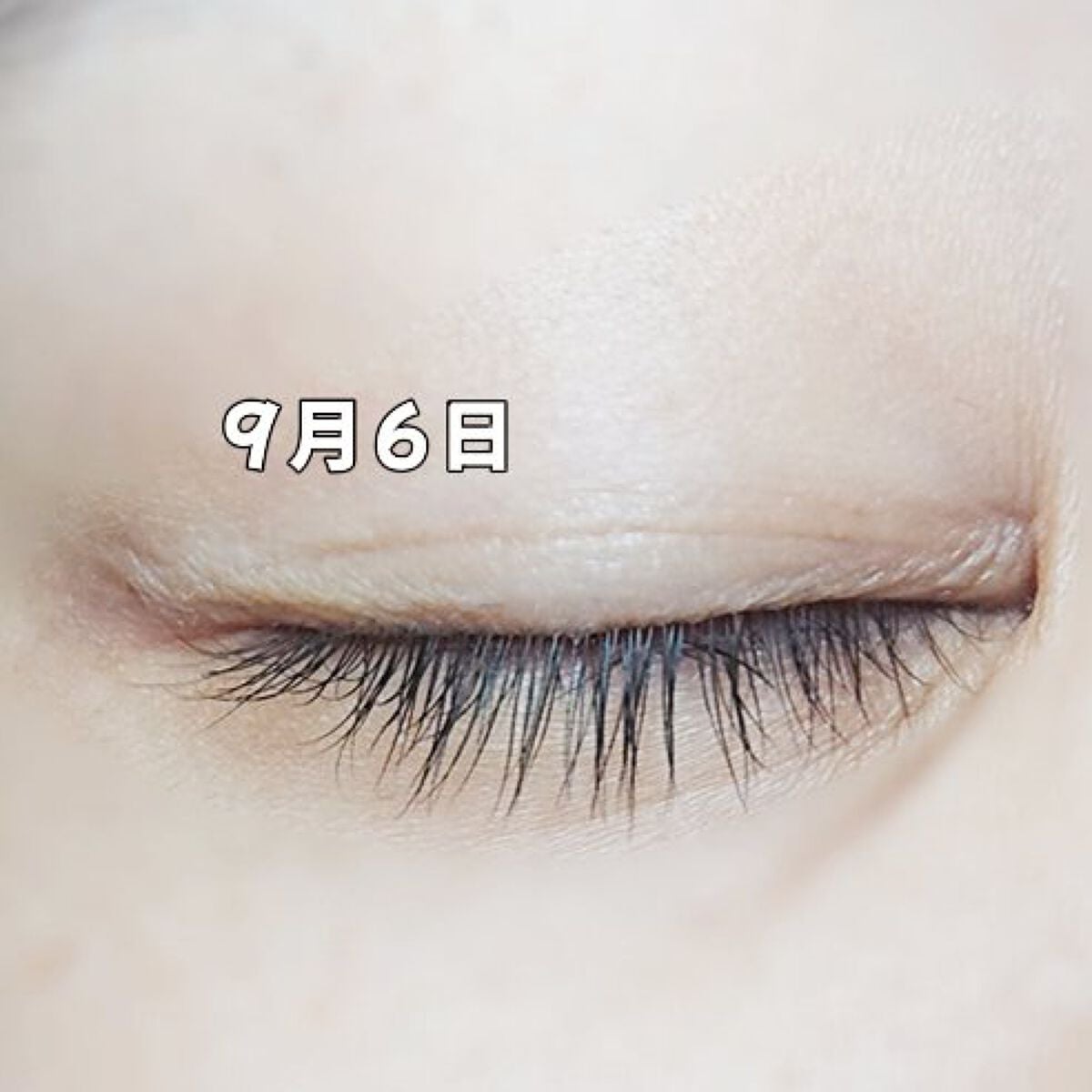 エターナルアイラッシュ/リュバンブラン/まつげ美容液を使ったクチコミ(5枚目)