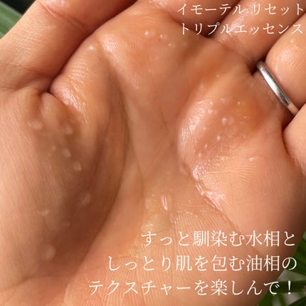 イモーテル オーバーナイトリセットセラム/L'OCCITANE/美容液を使ったクチコミ(5枚目)