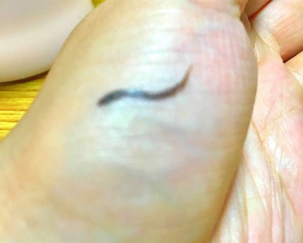 【旧品】シルキーリキッドアイライナーWP/D-UP/リキッドアイライナーを使ったクチコミ(2枚目)