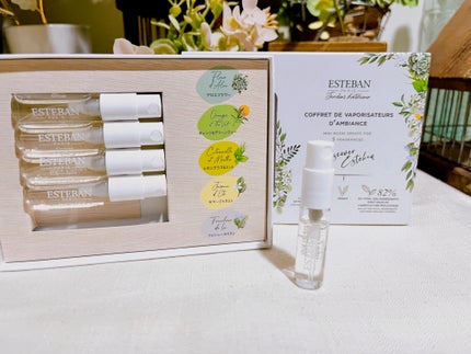 インテリアガーデン ナチュール ラタンブーケ ディフューザー /ESTEBAN/ルームフレグランスを使ったクチコミ(6枚目)