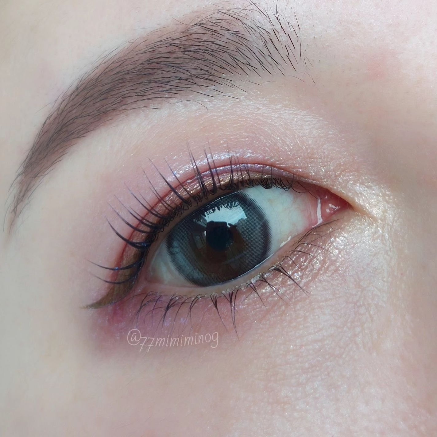 アイカラーレーション/LUNASOL/アイシャドウパレットを使ったクチコミ(5枚目)