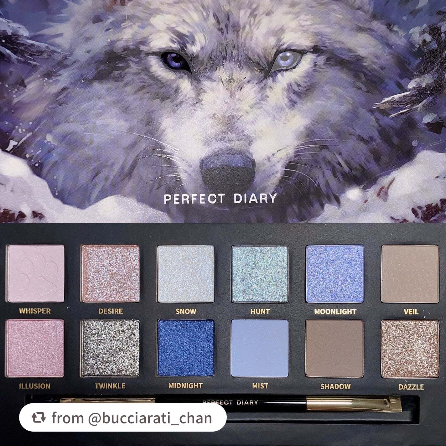 エクスプローラ12色 動物アイシャドウパレット/PERFECT DIARY/アイシャドウパレットを使ったクチコミ(6枚目)