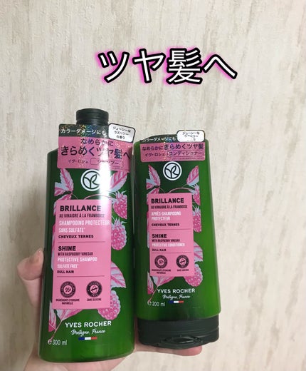 ヘルシースカルプ シャンプー/コンディショナー 〈シルキーシャイン〉/イヴ・ロシェ/市販シャンプーを使ったクチコミ(1枚目)
