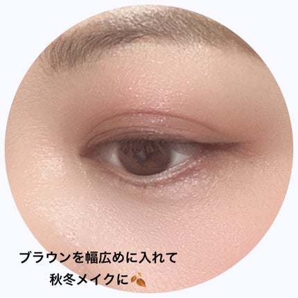 コンスピキュアス アイズ/Amplitude/アイシャドウパレットを使ったクチコミ(5枚目)