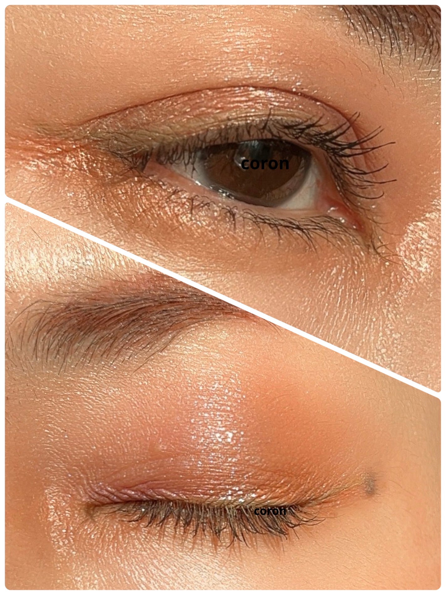 「塗るつけまつげ」自まつげ際立てタイプ/デジャヴュ/マスカラを使ったクチコミ(2枚目)