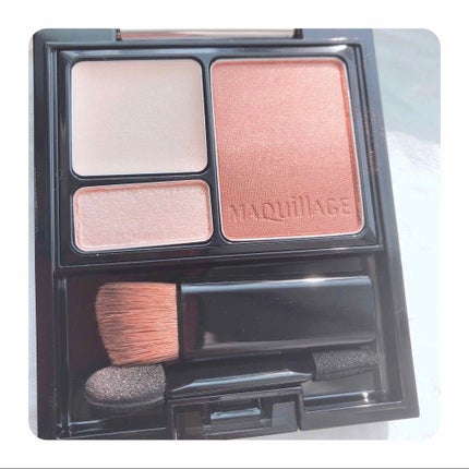 ドラマティックスタイリングアイズS/マキアージュ/アイシャドウパレットを使ったクチコミ(2枚目)