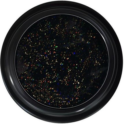 B13 黒豹のまなざし