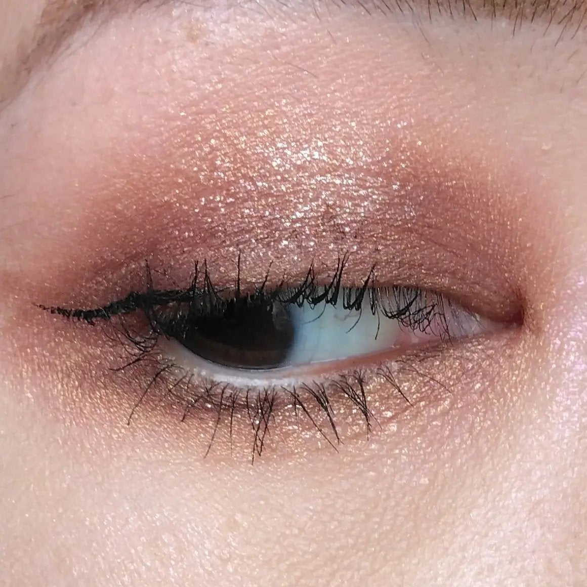 Mother Ship VII Divine Rose /PAT McGRATH LABS/アイシャドウパレットを使ったクチコミ(2枚目)