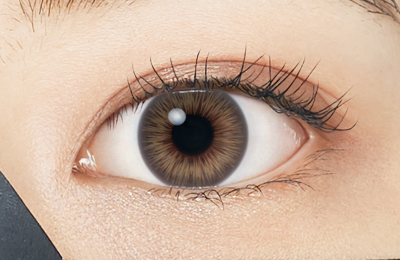 ワンデーアキュビュー®ディファイン®モイスト®　<フレッシュシリーズ> フレッシュ グレーゼル