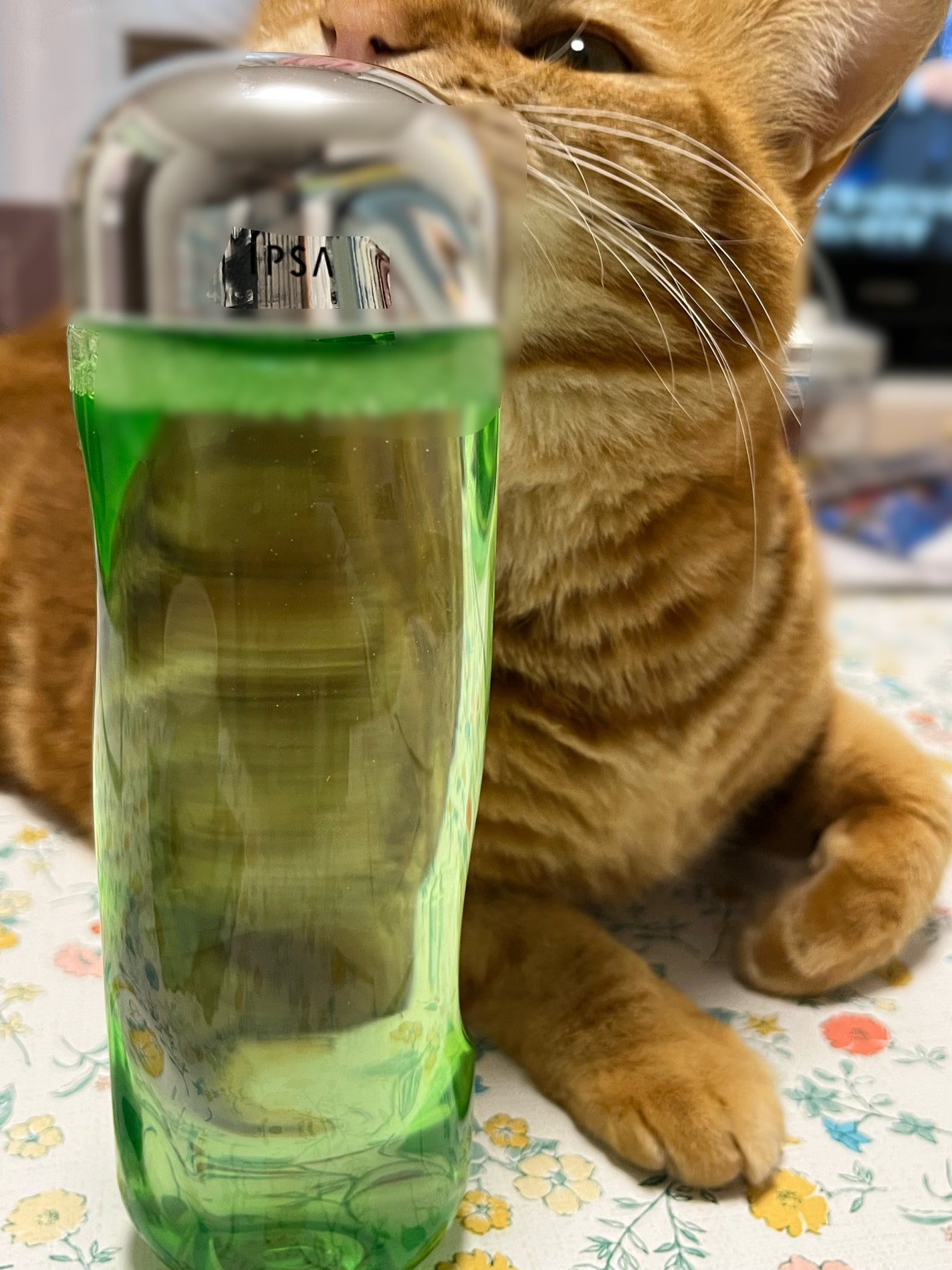 hito on LIPS 「イプサの限定ボトル買いました通常より少し多めに入ってるので助か..」(1枚目)