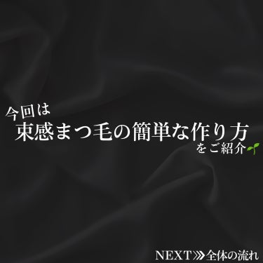 アイラッシュ カーラー N/ANNA SUI/ビューラーを使ったクチコミ（2枚目）