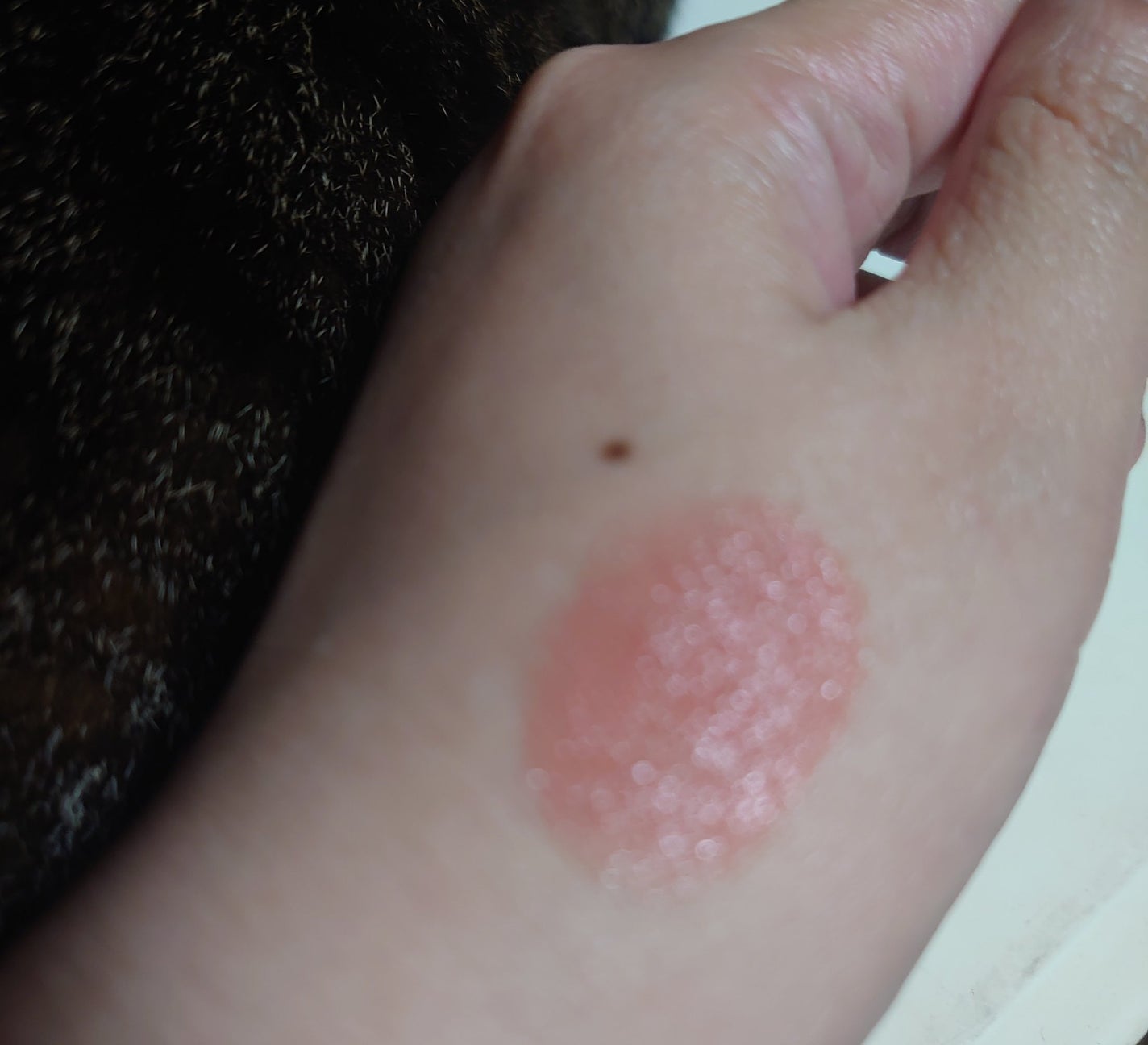 ネンマクフェイク ルージュ/Visée/口紅を使ったクチコミ(2枚目)