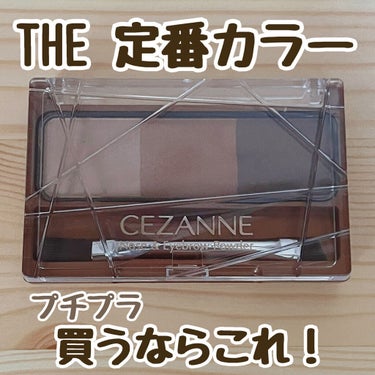 ノーズ＆アイブロウパウダー/CEZANNE/パウダーアイブロウを使ったクチコミ（1枚目）