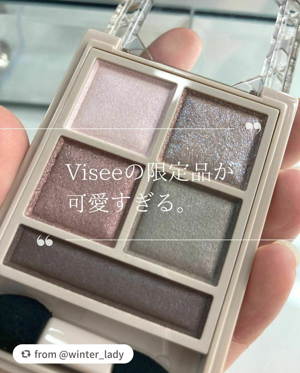 パノラマデザイン アイパレット/Visée/アイシャドウパレットを使ったクチコミ(1枚目)