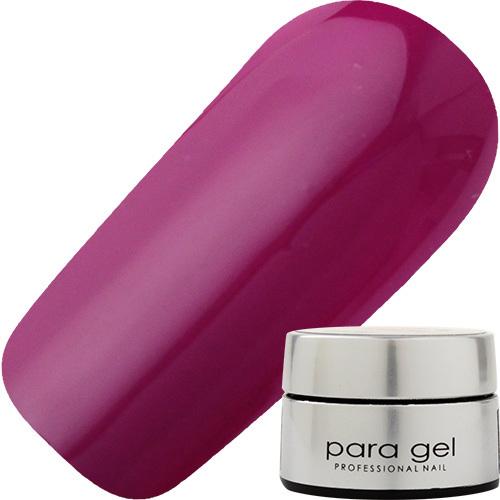 パラジェル Milky Color AM26 ワイン 