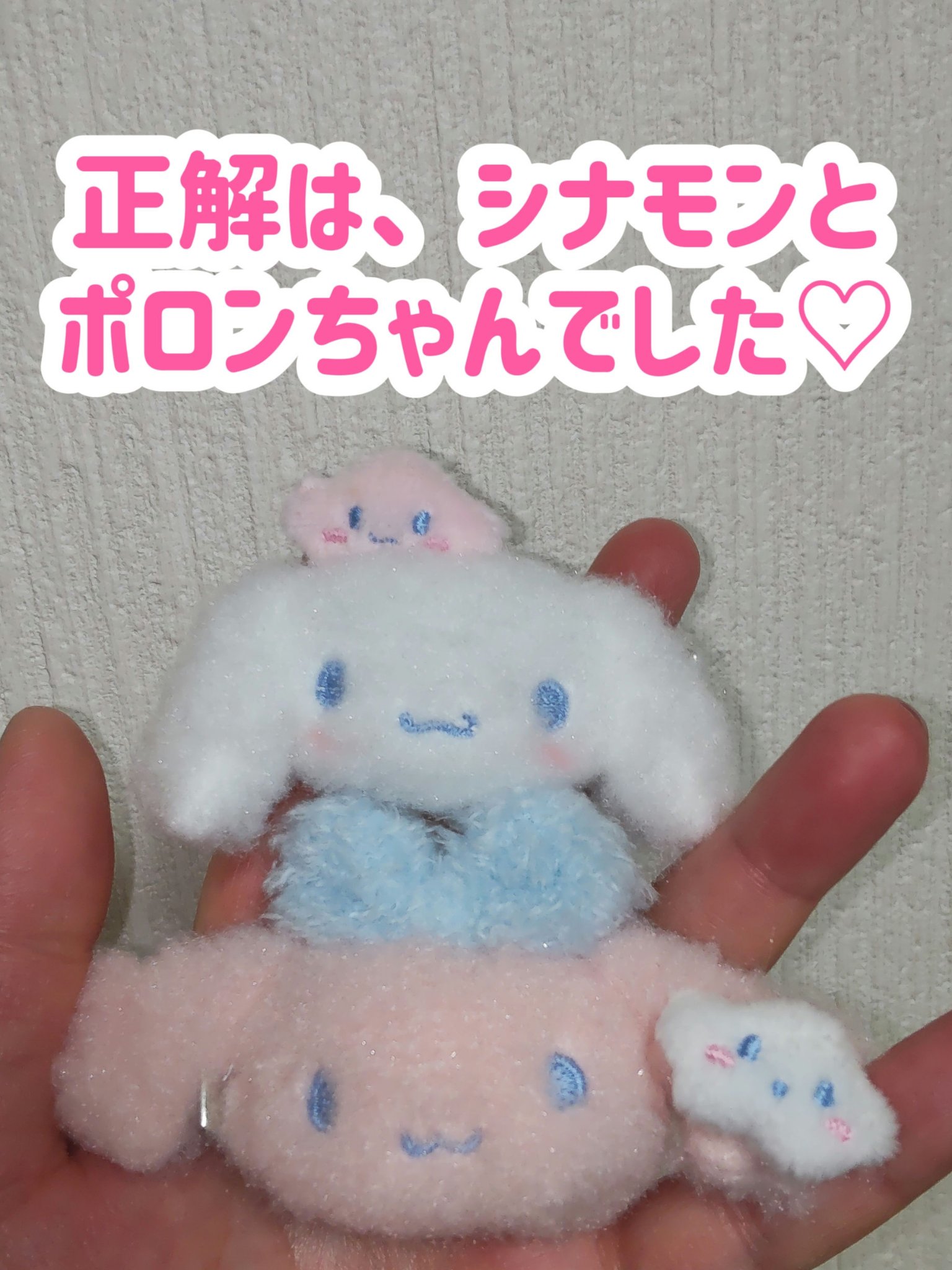 前髪クリップ/サンリオ/ヘアアクセサリーを使ったクチコミ（2枚目）