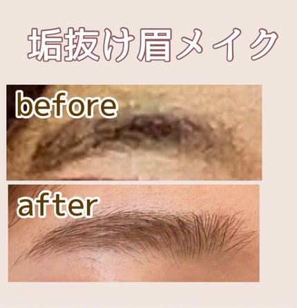 エバビレーナ アイブローコート/DAISO/アイブロウコートを使ったクチコミ(1枚目)