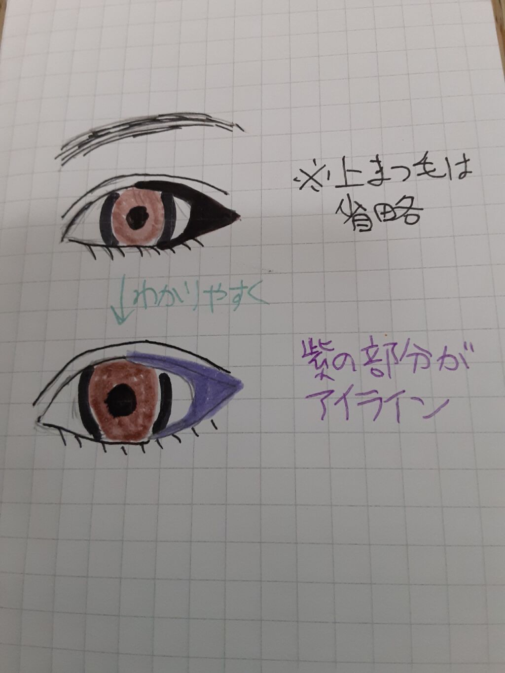 アイラッシュフィクサーEX 552/D-UP/つけまつげを使ったクチコミ(2枚目)