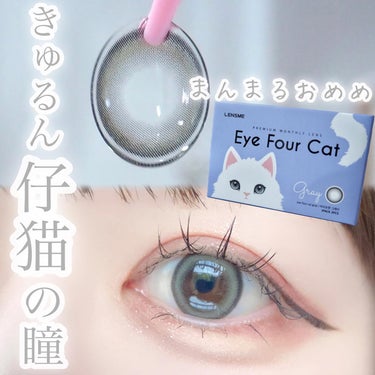 Eye Four Cat/LENSME/カラーコンタクトレンズを使ったクチコミ（1枚目）