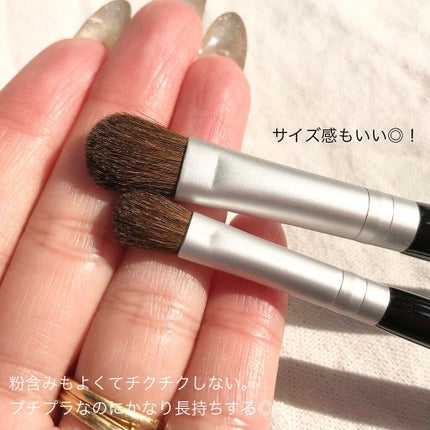アイシャドウブラシセット/ロージーローザ/メイクブラシを使ったクチコミ(3枚目)