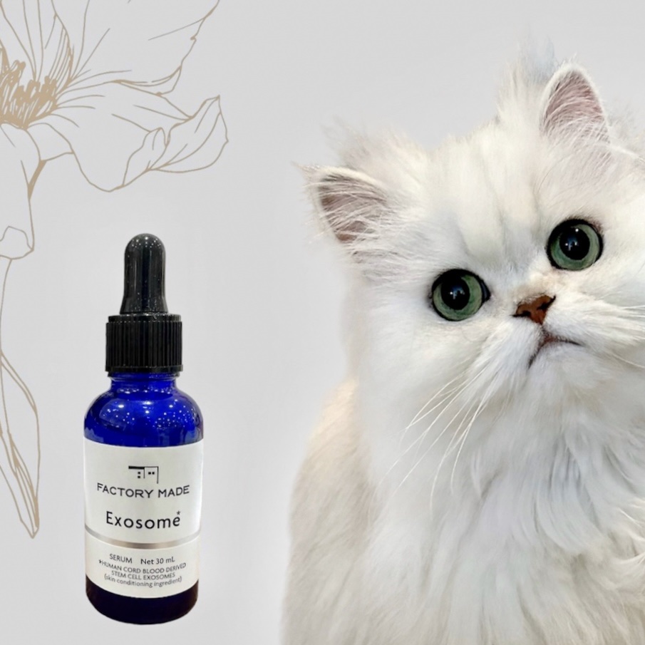 ྀི
＼エイジングケア美容液🕊‎𓈒𓏸／

ファクトリーメイドのエクソソームセラム🌿

グルタチオンやガラクトミセスなどの美容成分が
たっぷり配合されている美容液です👌🏻 ̖́-‬

透明感、ハリ、ツヤ、保湿を叶えてくれるので
す