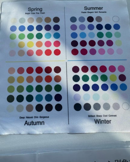 まるみ♡ on LIPS 「パーソナルカラー診断を受けてきたお話。12月初旬に、ずっとずっ..」(10枚目)