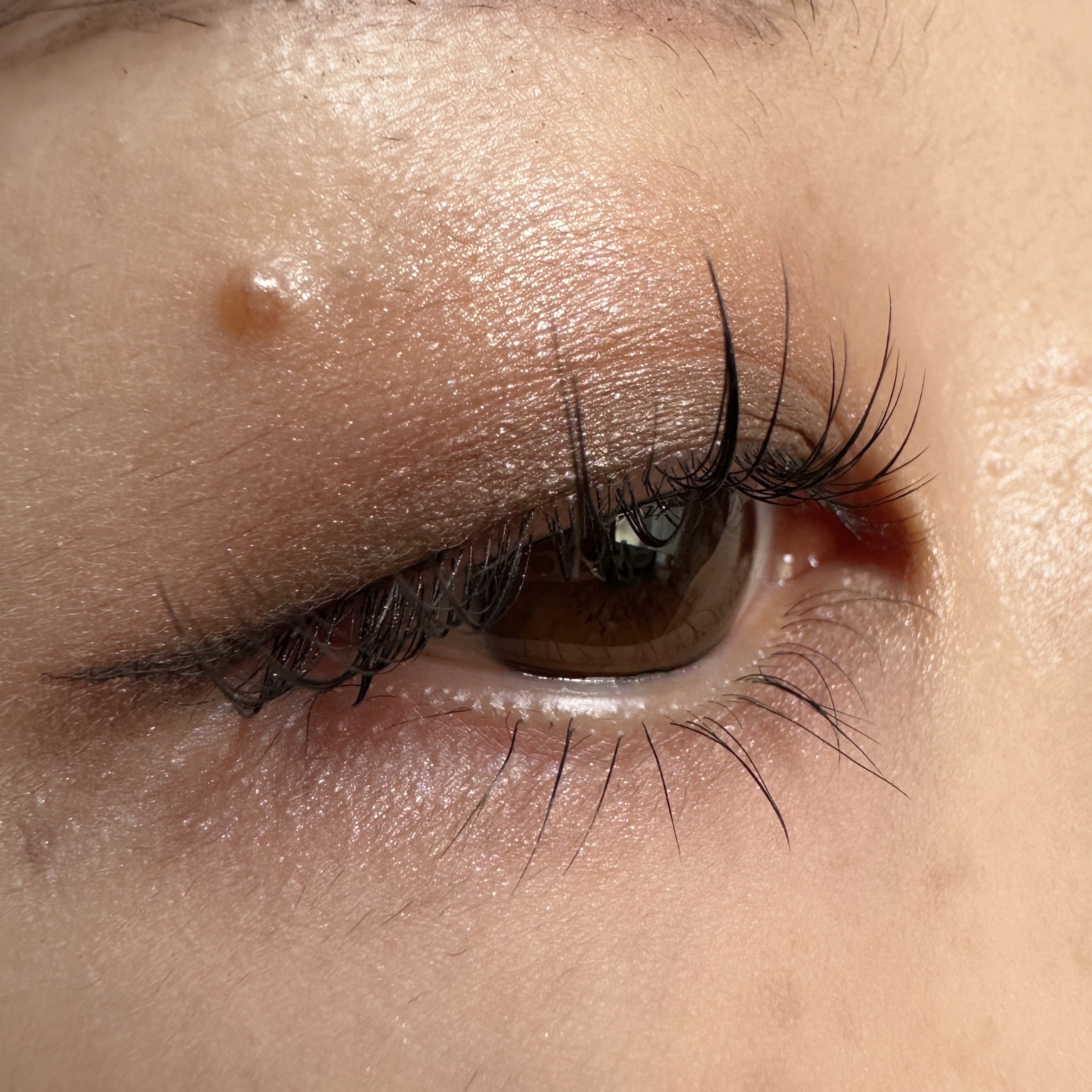 ミラクルラッシュジェル　トリートメント/CKL/マスカラを使ったクチコミ（3枚目）