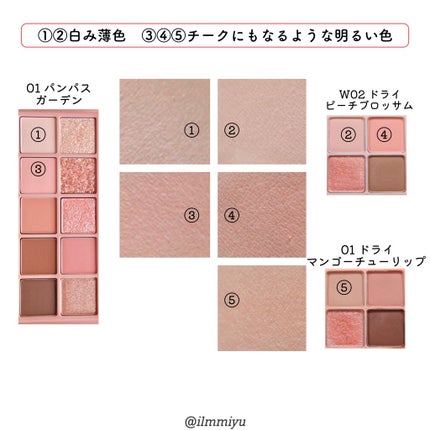 ミユ @ilmmiyu on LIPS 「▼ロムアンドアイシャドウ比較①〖𝙏𝙬𝙞𝙩𝙩𝙚𝙧・𝙄𝙣𝙨𝙩..」(7枚目)