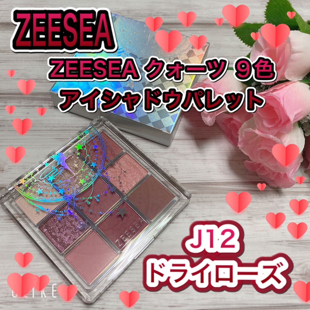 クォーツ 9色アイシャドウパレット(ドリームランドアイシャドウ)/ZEESEA/アイシャドウパレットを使ったクチコミ(1枚目)
