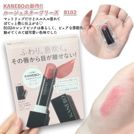 ãœããð¶ãã©ããâ on LIPS ãVOCE2æå·ãèªã¿å¿ãã°ã£ã¡ãã§å€§æºè¶³ã§ããâºïžä»æç§ãéžã..ãïŒ2æç®ïŒ