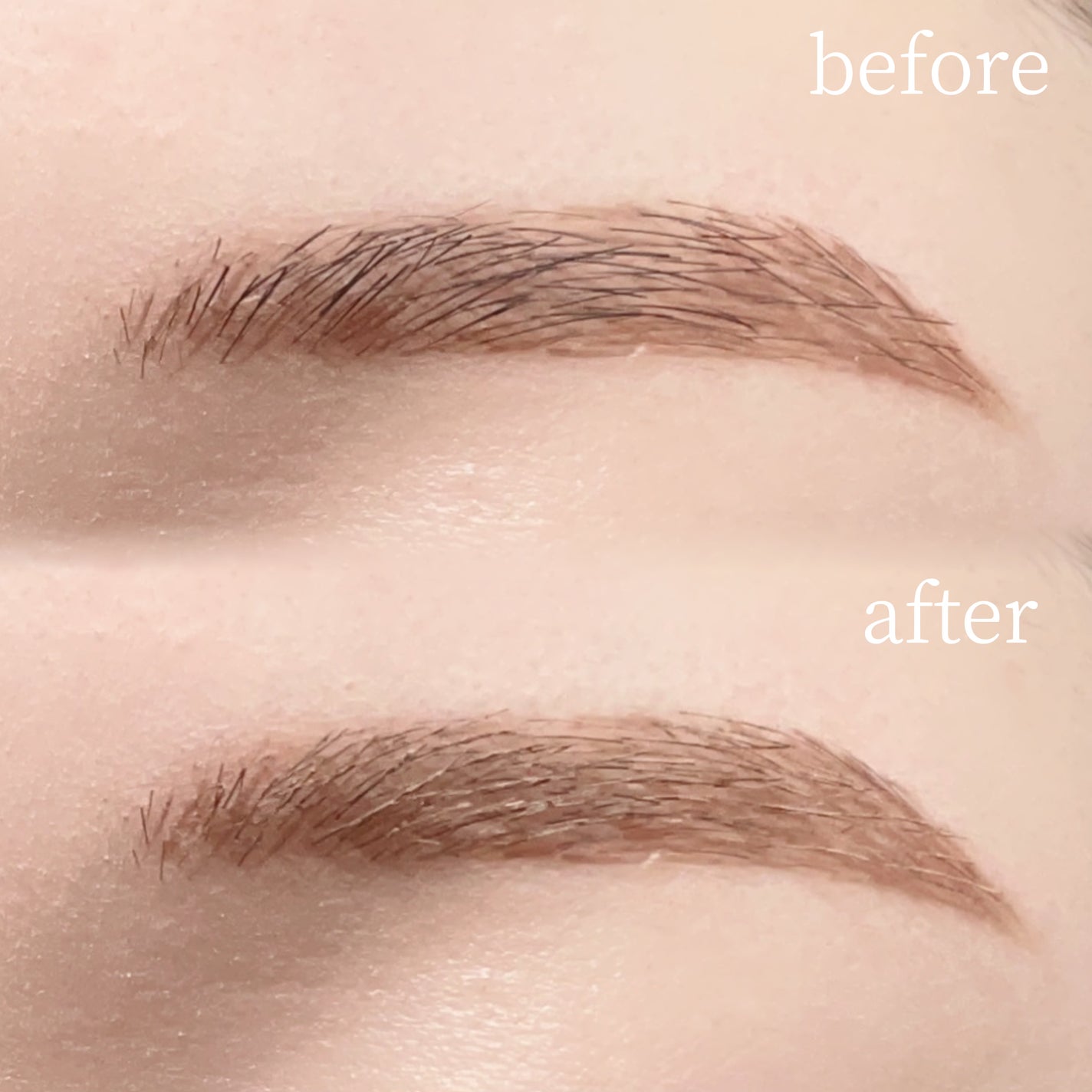 ハンオールブロウカラ/rom&nd/眉マスカラを使ったクチコミ(3枚目)