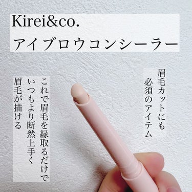 アイブロウコンシーラー/Kirei&co./ペンシルコンシーラーを使ったクチコミ（2枚目）