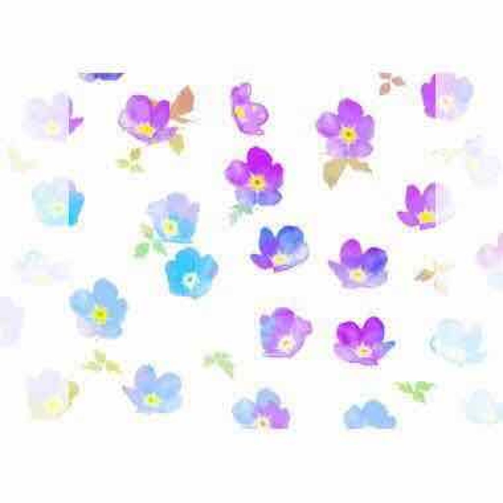 ハトムギ化粧水(ナチュリエ スキンコンディショナー R )/ナチュリエ/化粧水を使ったクチコミ(1枚目)