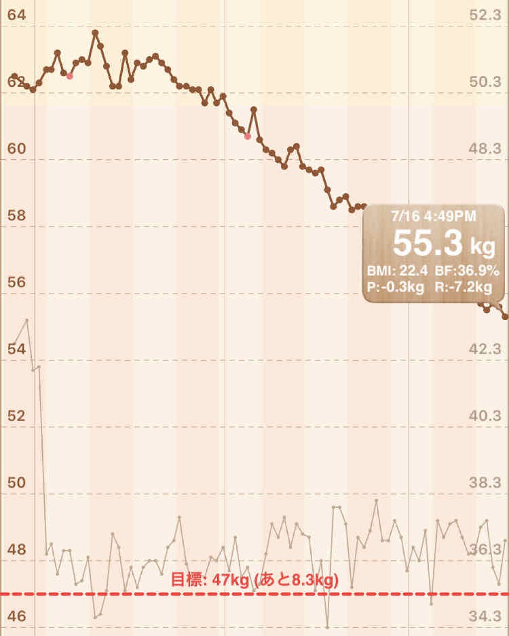 R ioka on LIPS 「ダイエット記録です体重 55.3㌔体脂肪 36.9%朝 無し昼..」(2枚目)