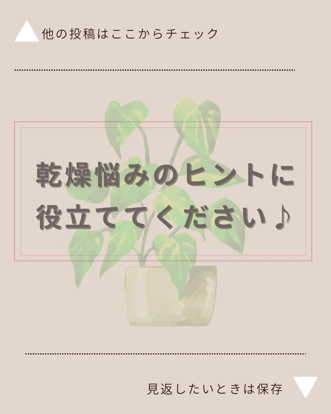 美肌カウンセラー💆肌悩みを解決し見る世界を変える on LIPS 「いっきに乾燥がすすむ季節。乾燥は肌を一気に老化させる要因で肌ト..」(1枚目)