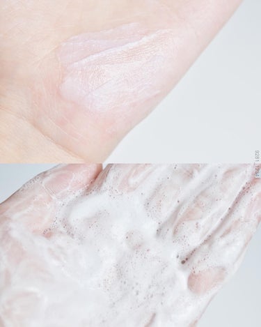 ヴィーガンパッククレンザー ホホベンダー/WHIPPED/洗顔フォームを使ったクチコミ（3枚目）