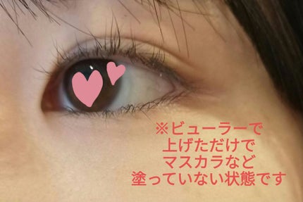 アイラッシュカーラー/DAISO/ビューラーを使ったクチコミ(2枚目)
