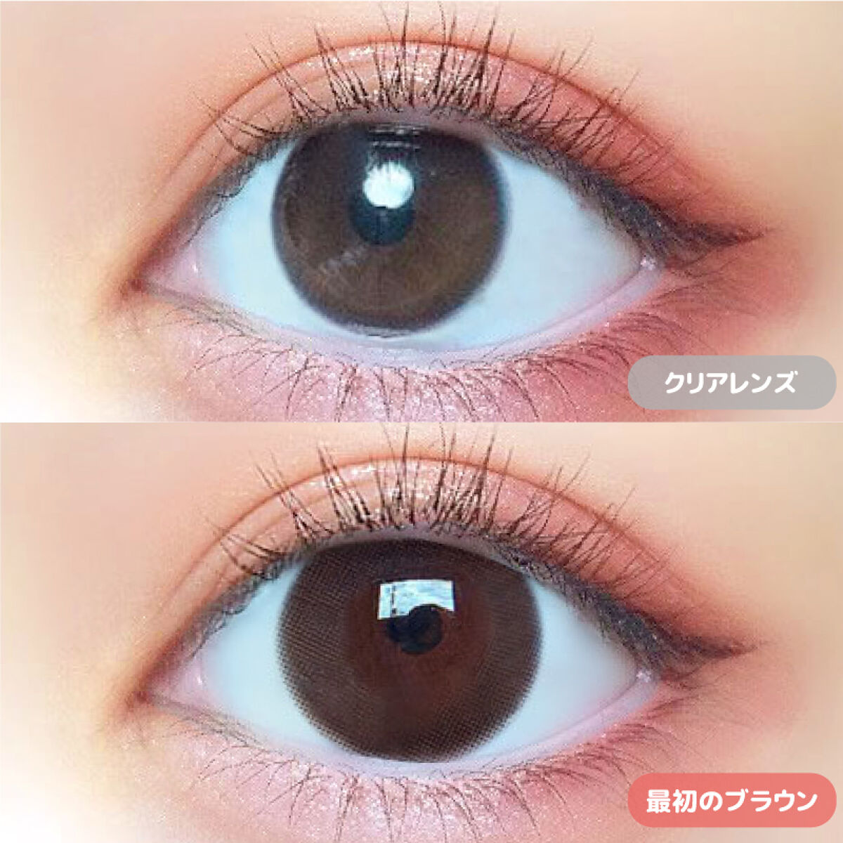 モテコン for スクール マンスリー 最初のブラウン