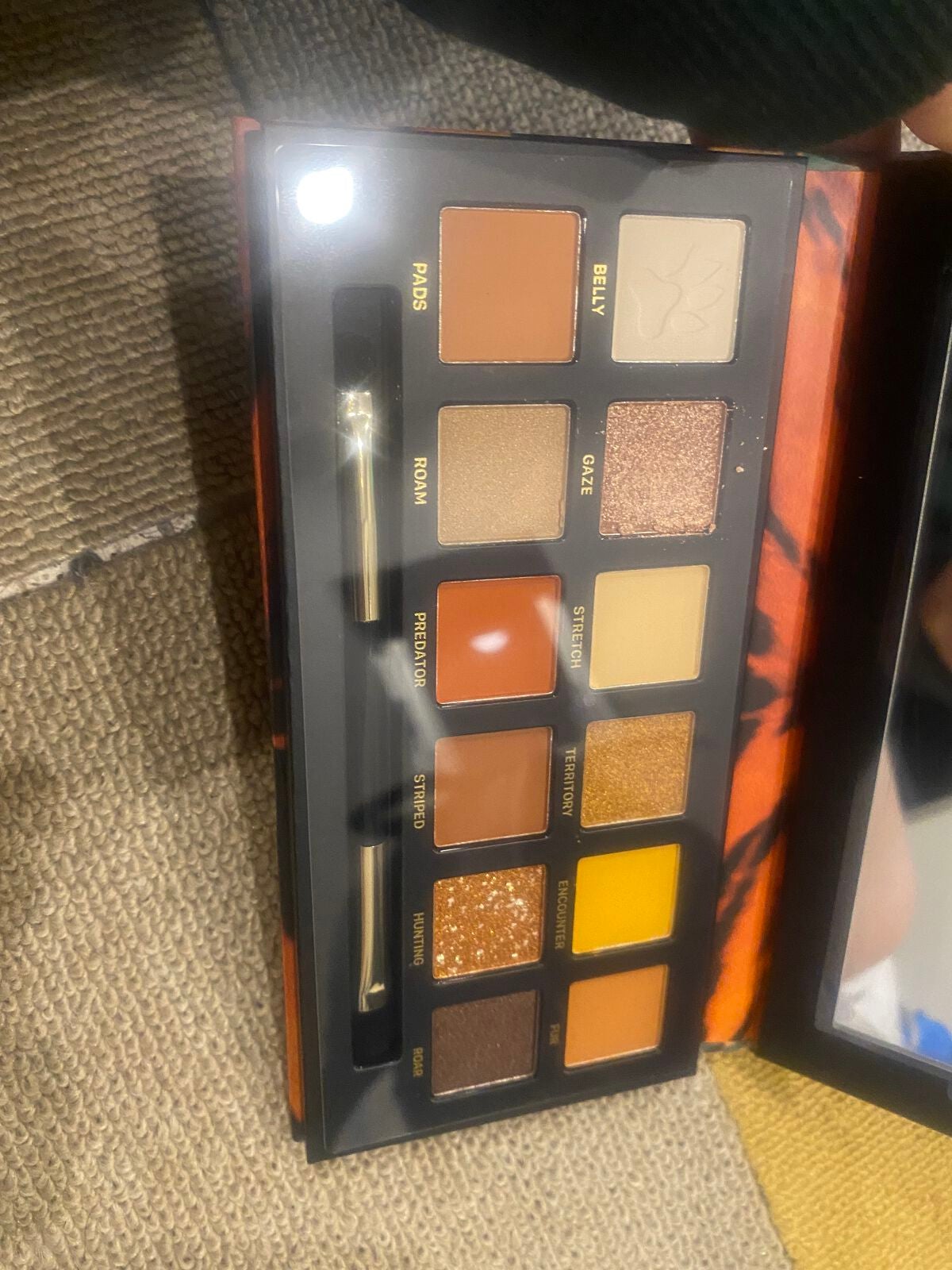 エクスプローラ12色 動物アイシャドウパレット/PERFECT DIARY/アイシャドウパレットを使ったクチコミ(3枚目)