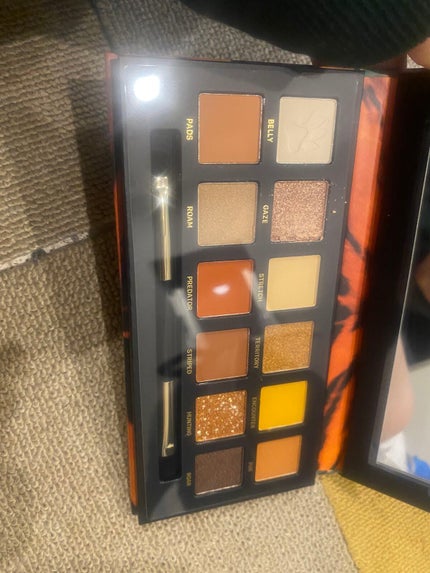 エクスプローラ12色 動物アイシャドウパレット/PERFECT DIARY/アイシャドウパレットを使ったクチコミ(3枚目)