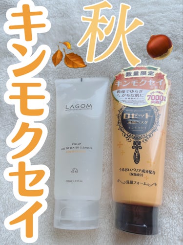 ラゴム ジェルトゥウォーター クレンザー(朝用洗顔)/LAGOM /洗顔フォームを使ったクチコミ（1枚目）