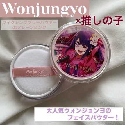 ウォンジョンヨ フィクシングブラーパウダー N/Wonjungyo/ルースパウダーを使ったクチコミ(1枚目)