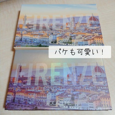 GO TRAVEL 15色アイシャドウパレット 08 フィレンツェ(hi Firenze)/FOCALLURE/アイシャドウパレットを使ったクチコミ（2枚目）