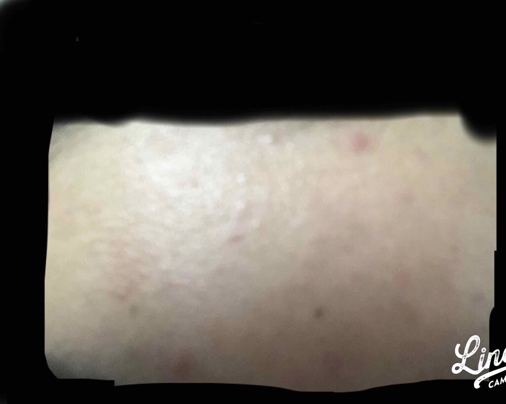 ハトムギ化粧水(ナチュリエ スキンコンディショナー R )/ナチュリエ/化粧水を使ったクチコミ(3枚目)