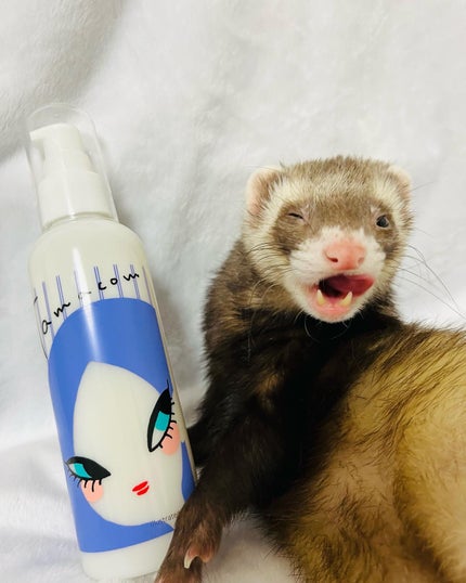 タマ コンデンス みるきぃセラム/Tamazon企画/ヘアミルクを使ったクチコミ(6枚目)